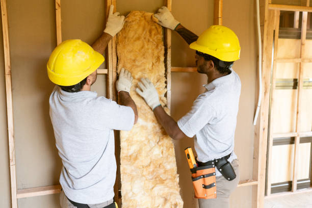 Best Insulation Contractor Near Me  in New Eagle, PA