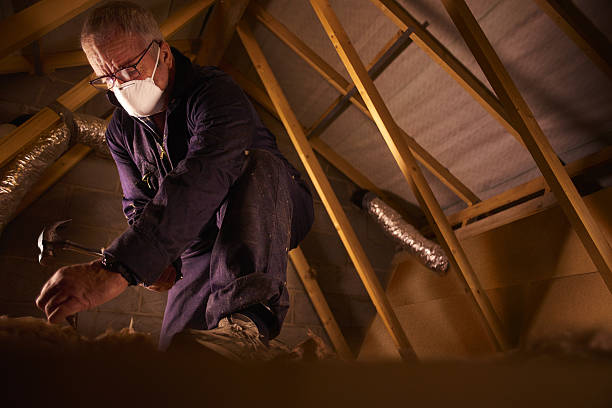 Best Energy-efficient Insulation  in New Eagle, PA